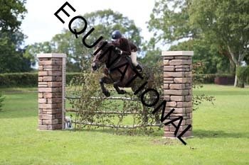 DQW-3407