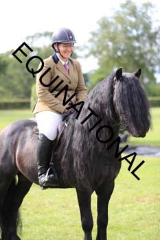 DQW-3452