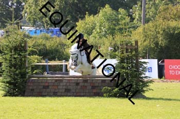 DQW-3699