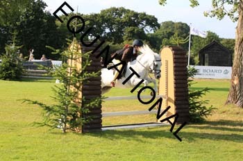 DQW-3700