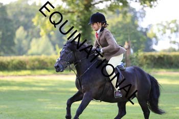 DQW-3838