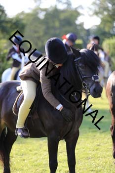 DQW-3978