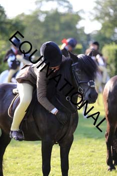DQW-3979