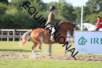 DQW-4267