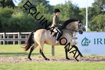 DQW-4277