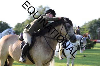 DQW-4374