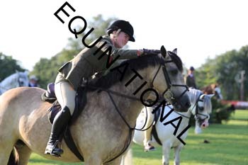 DQW-4375