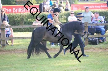 EBM-1091