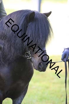 EBM-1216