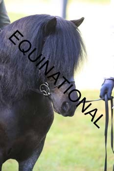 EBM-1217