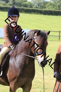 EBM-1516