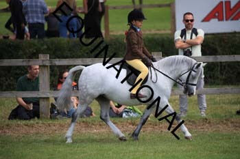 EBM-1896