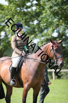 SAS-2662