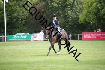 SAS-3390
