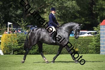 GHT-1262 GHT-1262
