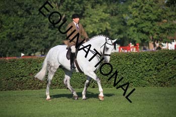 NNP-1065
