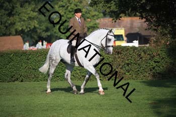 NNP-1066