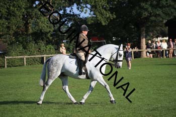 NNP-1070