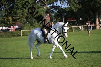 NNP-1071