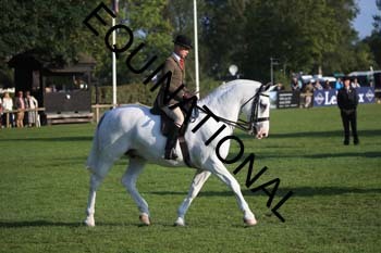 NNP-1073