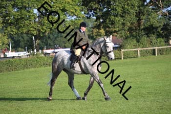 NNP-1074