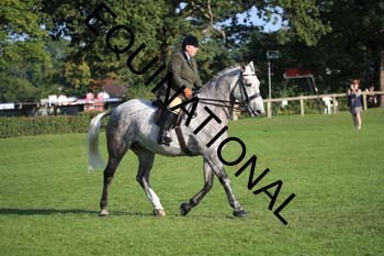 NNP-1075