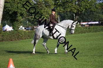 NNP-1078