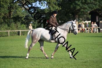 NNP-1081