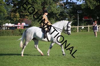 NNP-1087