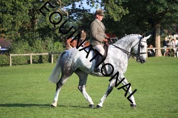 NNP-1092