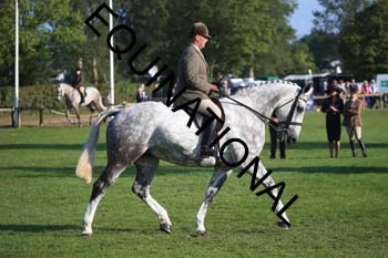 NNP-1094