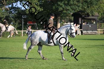 NNP-1095