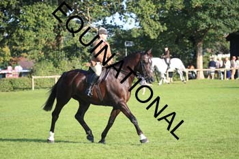 NNP-1096