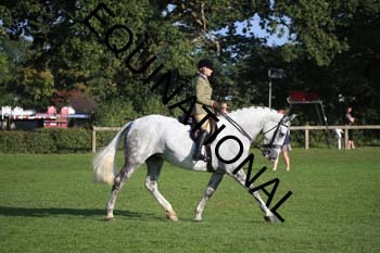 NNP-1099