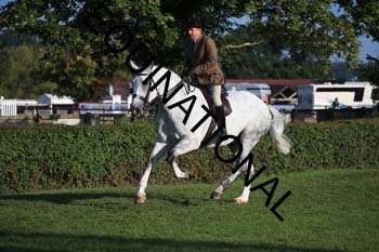 NNP-1116