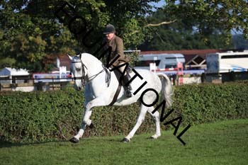 NNP-1121