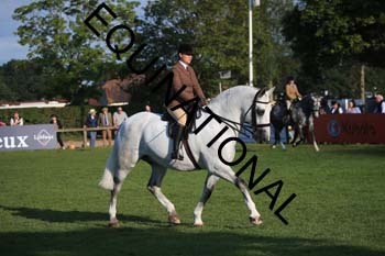 NNP-1148