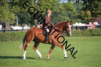 NNP-1181