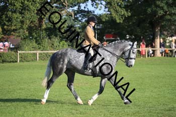 NNP-1190