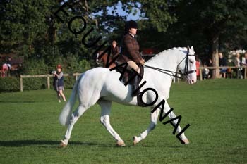 NNP-1197