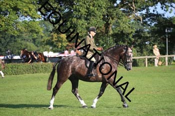 NNP-1208