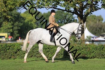 NNP-1228
