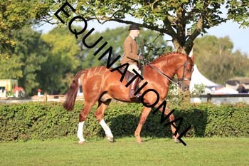 NNP-1245