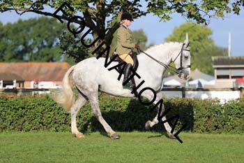 NNP-1268