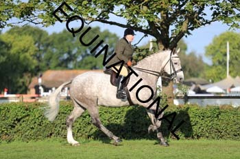 NNP-1276