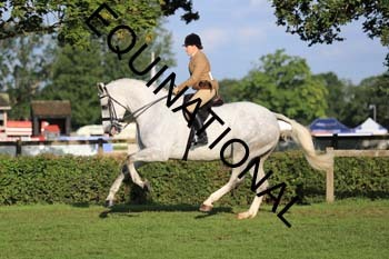 NNP-1390