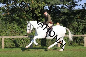 NNP-1398