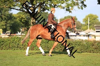 NNP-1411