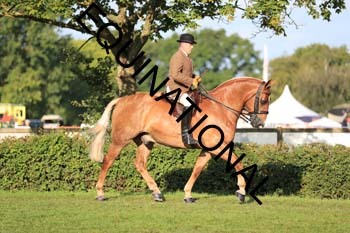 NNP-1414