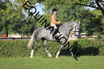 NNP-1416
